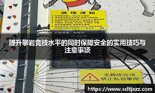 333平台