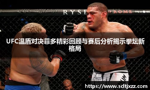 UFC温盾对决菲多精彩回顾与赛后分析揭示拳坛新格局